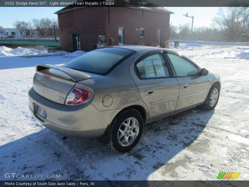Light Almond Pearl Metallic / Taupe 2002 Dodge Neon SXT