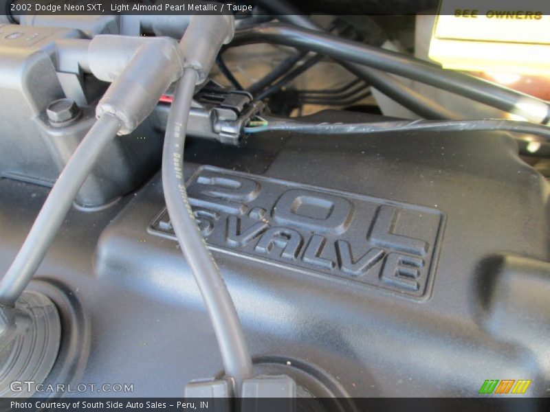 Light Almond Pearl Metallic / Taupe 2002 Dodge Neon SXT