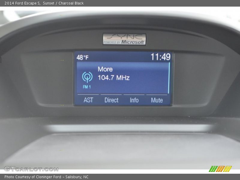 Sunset / Charcoal Black 2014 Ford Escape S