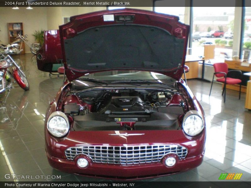 Merlot Metallic / Black Ink 2004 Ford Thunderbird Deluxe Roadster