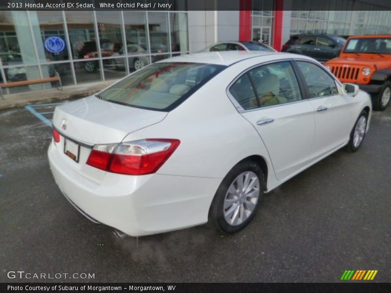 White Orchid Pearl / Ivory 2013 Honda Accord EX Sedan