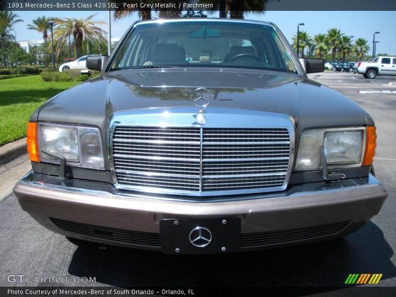 Pearl Grey Metallic / Parchment 1991 Mercedes-Benz S Class 420 SEL