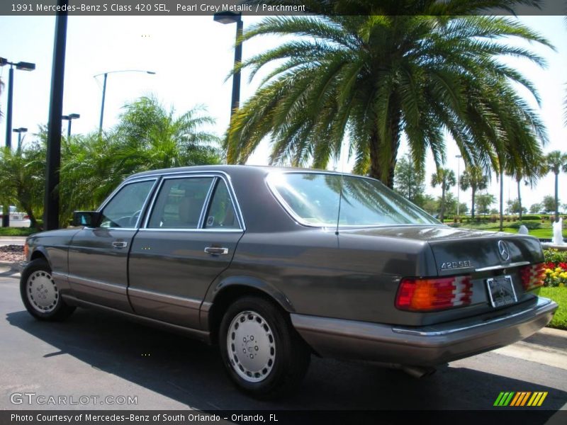 Pearl Grey Metallic / Parchment 1991 Mercedes-Benz S Class 420 SEL