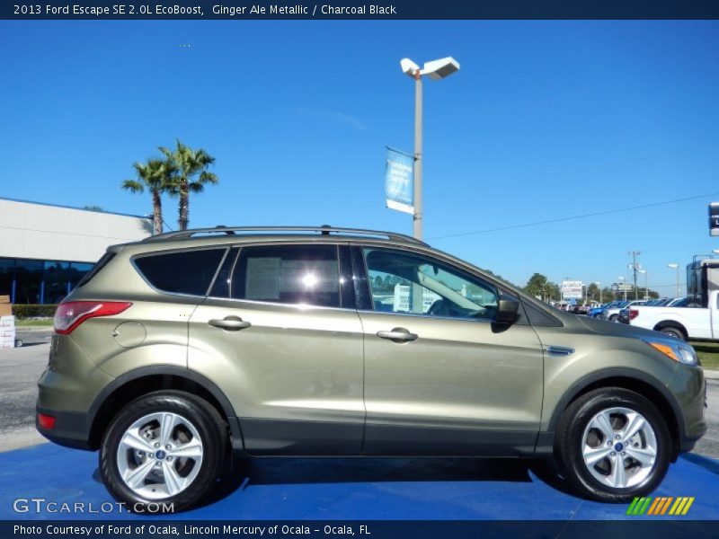 Ginger Ale Metallic / Charcoal Black 2013 Ford Escape SE 2.0L EcoBoost