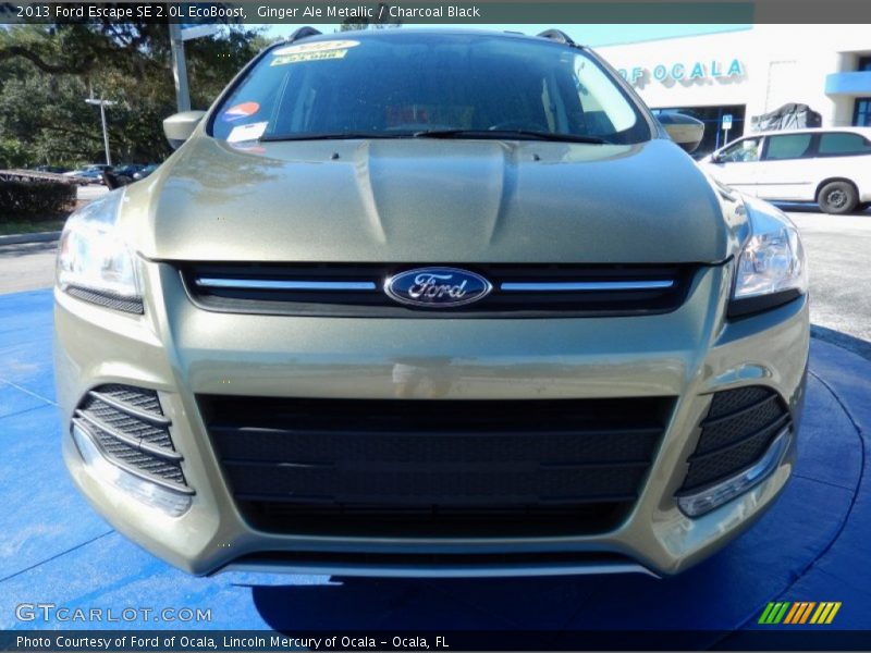 Ginger Ale Metallic / Charcoal Black 2013 Ford Escape SE 2.0L EcoBoost