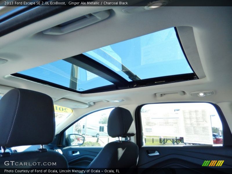 Ginger Ale Metallic / Charcoal Black 2013 Ford Escape SE 2.0L EcoBoost