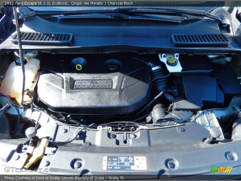 Ginger Ale Metallic / Charcoal Black 2013 Ford Escape SE 2.0L EcoBoost