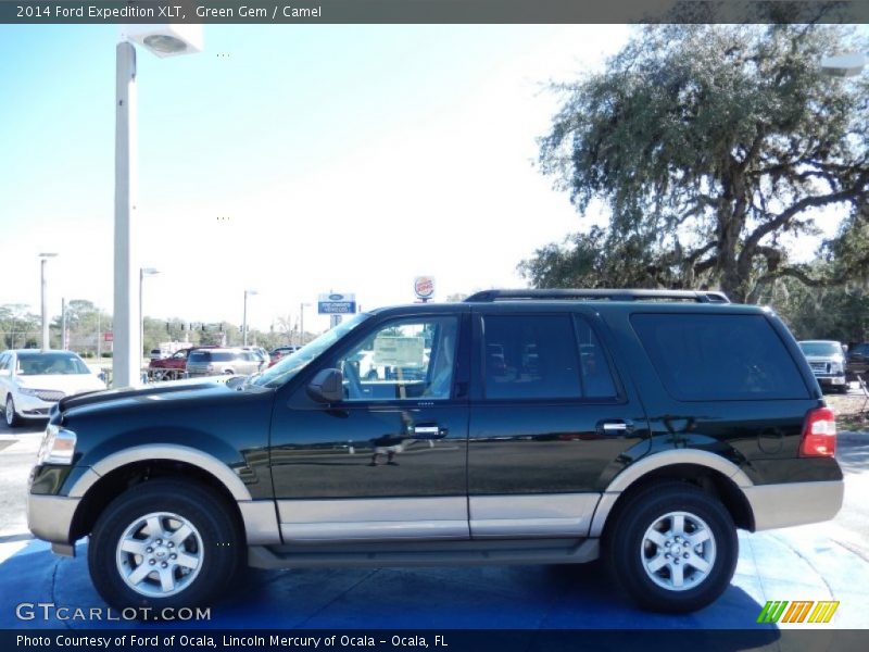 Green Gem / Camel 2014 Ford Expedition XLT