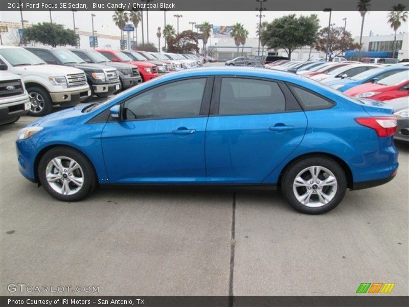 Blue Candy / Charcoal Black 2014 Ford Focus SE Sedan