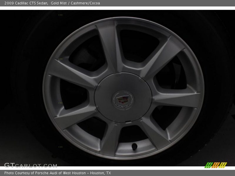 Gold Mist / Cashmere/Cocoa 2009 Cadillac CTS Sedan