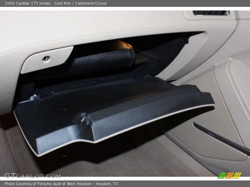 Gold Mist / Cashmere/Cocoa 2009 Cadillac CTS Sedan