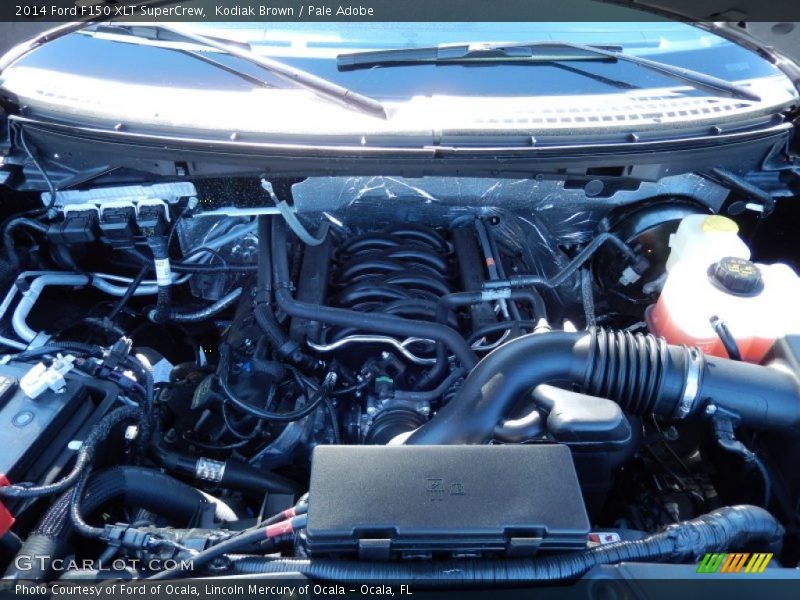 Kodiak Brown / Pale Adobe 2014 Ford F150 XLT SuperCrew