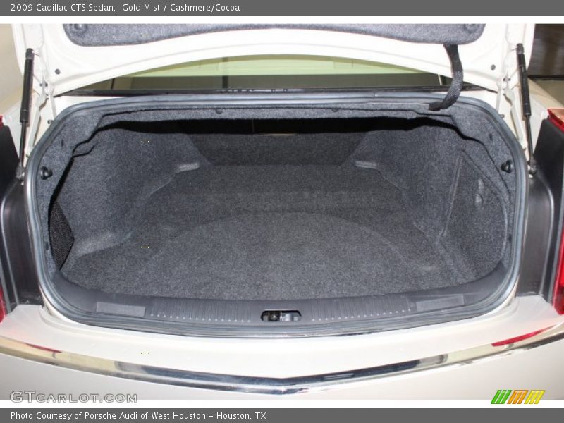 Gold Mist / Cashmere/Cocoa 2009 Cadillac CTS Sedan