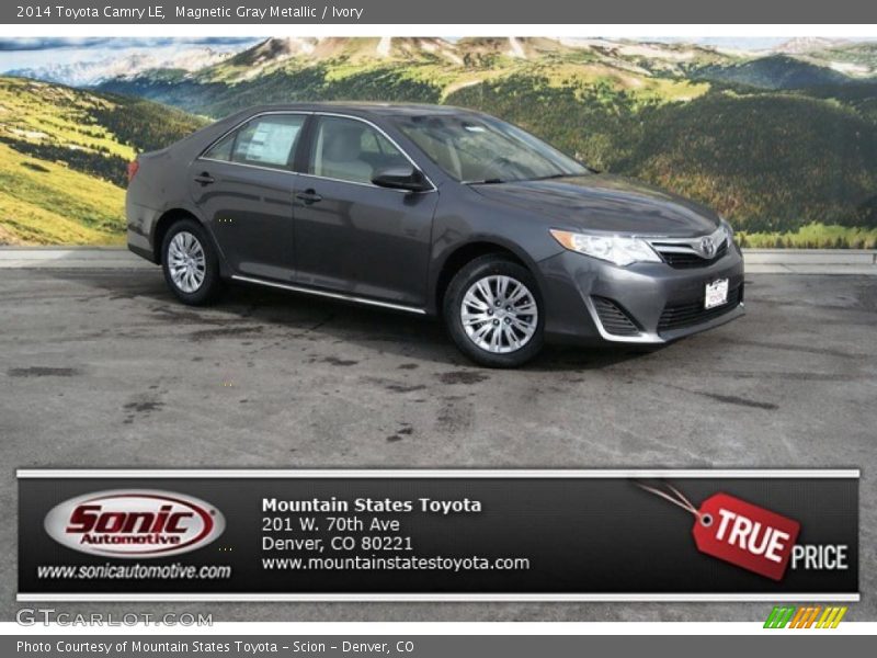 Magnetic Gray Metallic / Ivory 2014 Toyota Camry LE