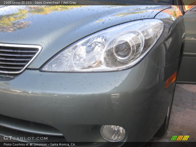 Oasis Green Pearl / Ash Gray 2005 Lexus ES 330