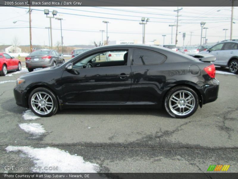 Black Sand Mica / Dark Gray 2005 Scion tC