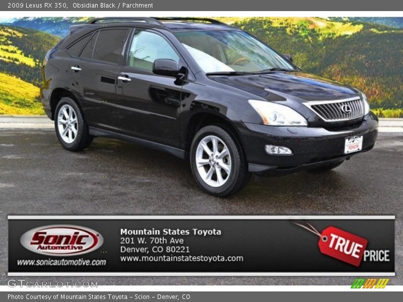 Obsidian Black / Parchment 2009 Lexus RX 350