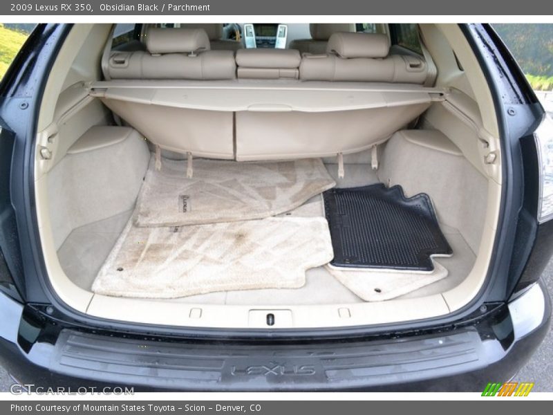 Obsidian Black / Parchment 2009 Lexus RX 350