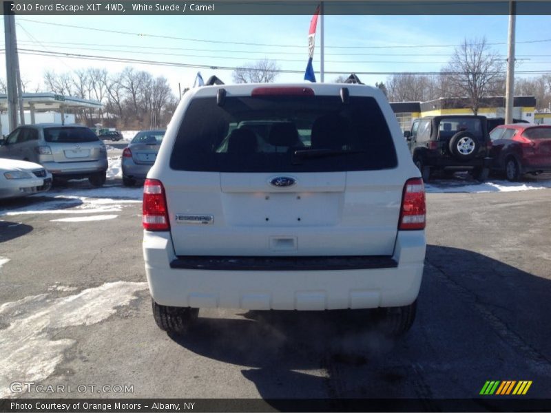 White Suede / Camel 2010 Ford Escape XLT 4WD