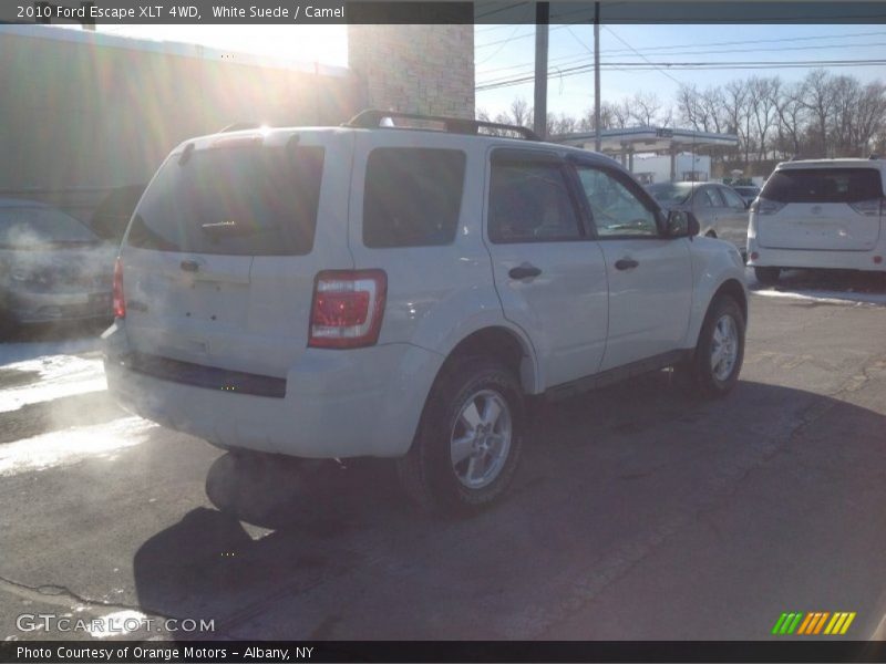 White Suede / Camel 2010 Ford Escape XLT 4WD