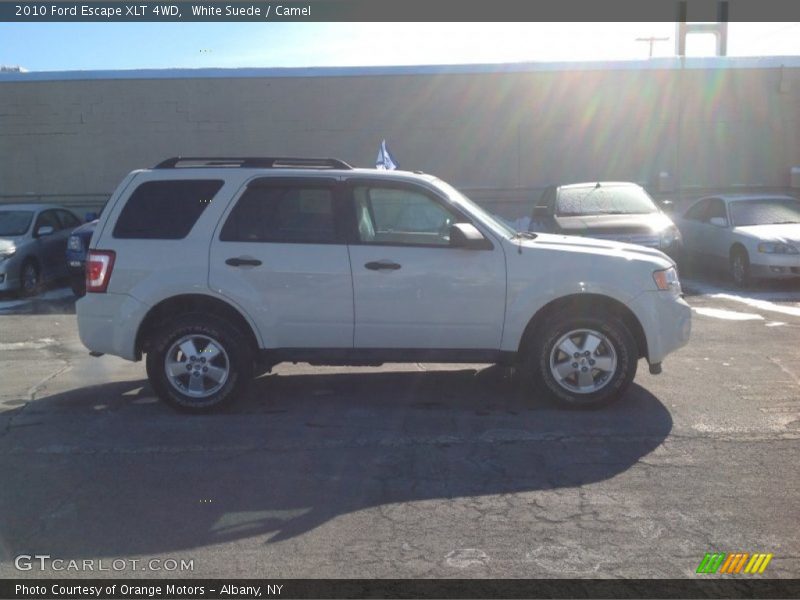 White Suede / Camel 2010 Ford Escape XLT 4WD