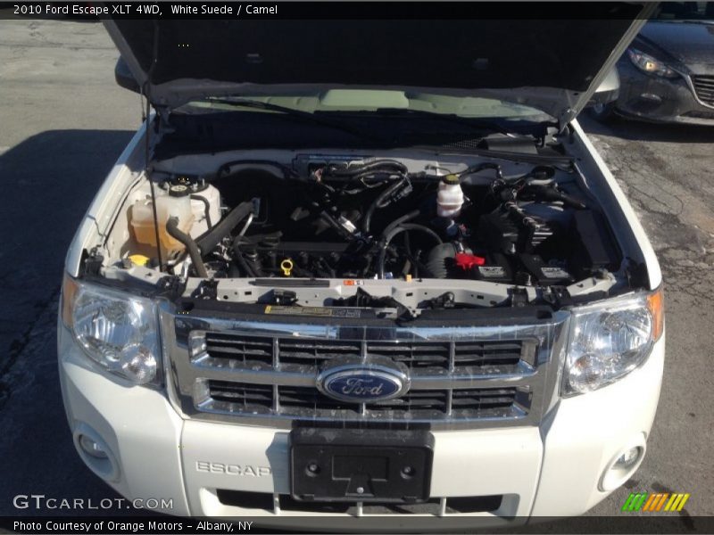 White Suede / Camel 2010 Ford Escape XLT 4WD