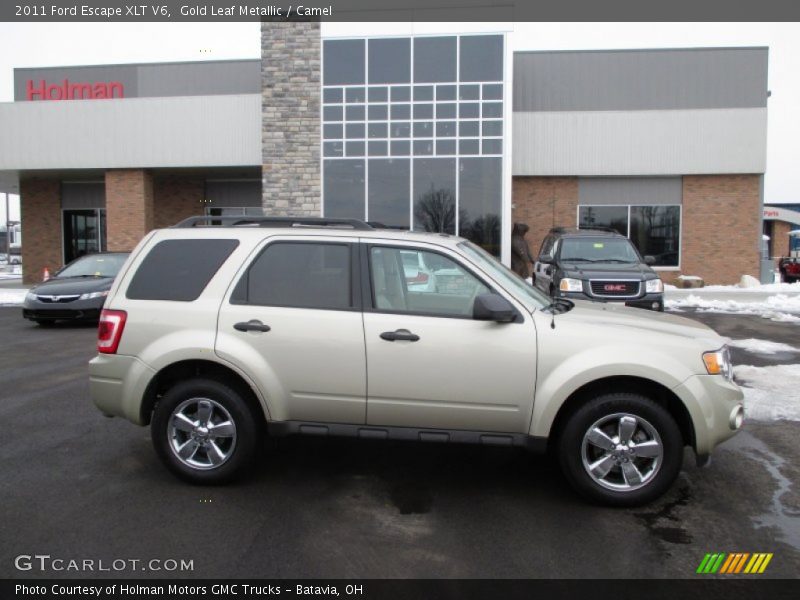 Gold Leaf Metallic / Camel 2011 Ford Escape XLT V6