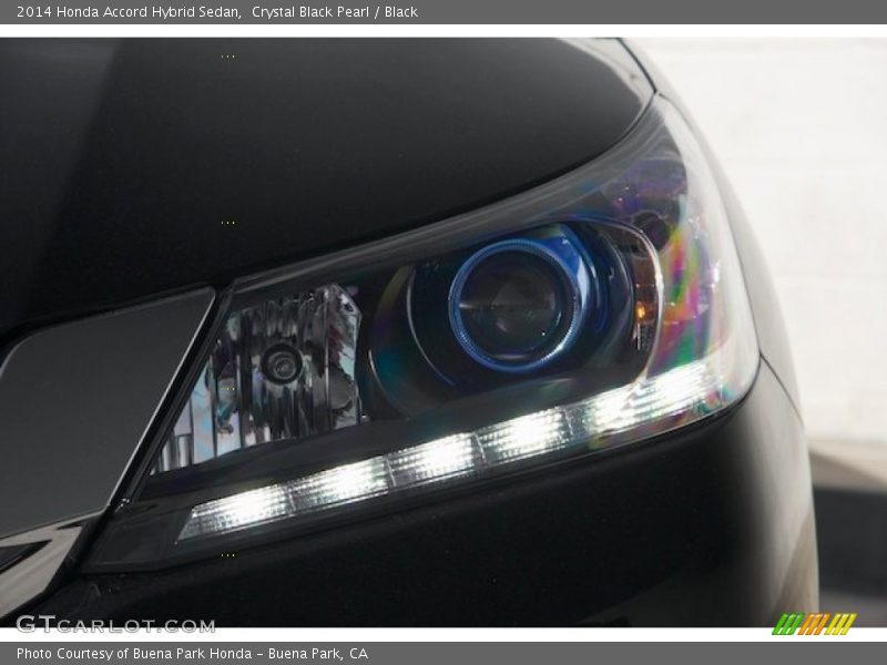 Headlight - 2014 Honda Accord Hybrid Sedan