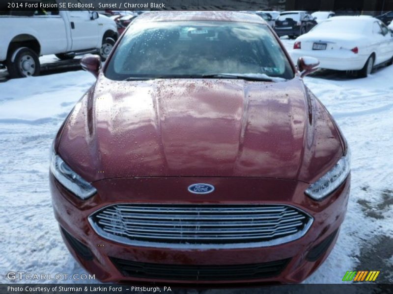 Sunset / Charcoal Black 2014 Ford Fusion SE EcoBoost