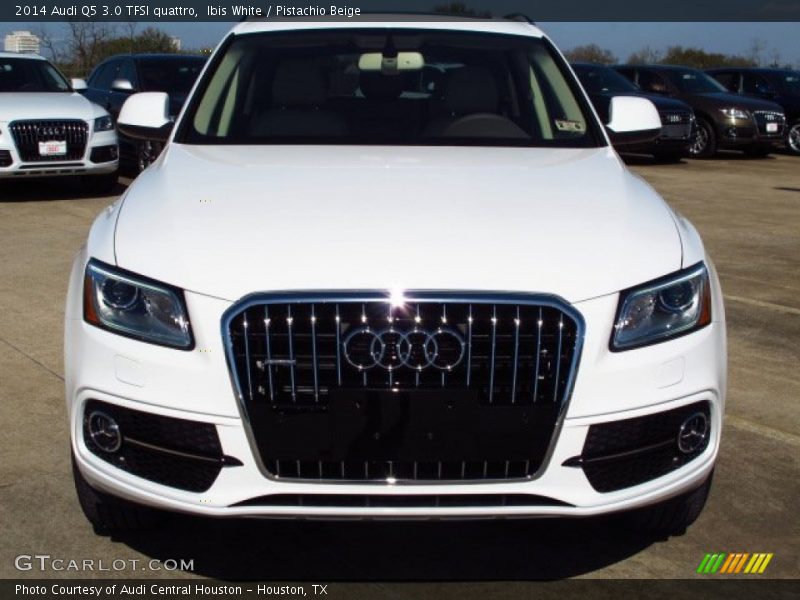 Ibis White / Pistachio Beige 2014 Audi Q5 3.0 TFSI quattro