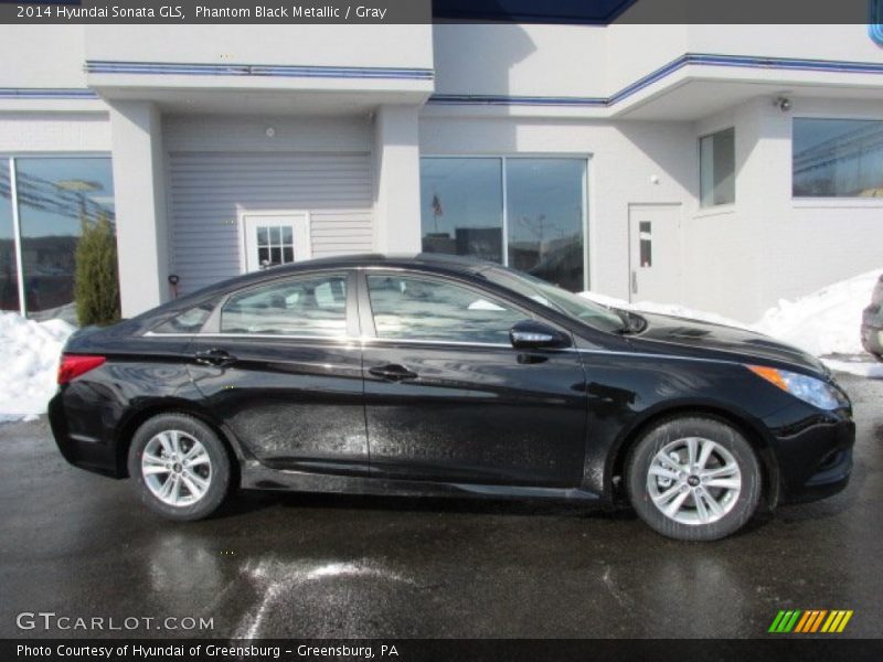 Phantom Black Metallic / Gray 2014 Hyundai Sonata GLS