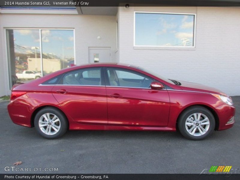 Venetian Red / Gray 2014 Hyundai Sonata GLS
