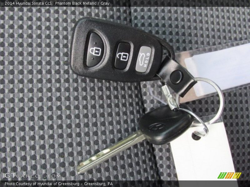 Phantom Black Metallic / Gray 2014 Hyundai Sonata GLS