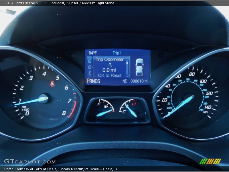 Sunset / Medium Light Stone 2014 Ford Escape SE 1.6L EcoBoost