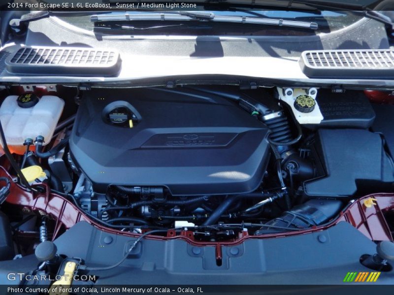 Sunset / Medium Light Stone 2014 Ford Escape SE 1.6L EcoBoost