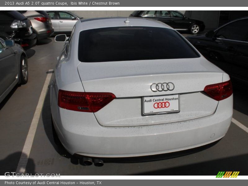Ibis White / Chestnut Brown 2013 Audi A5 2.0T quattro Coupe