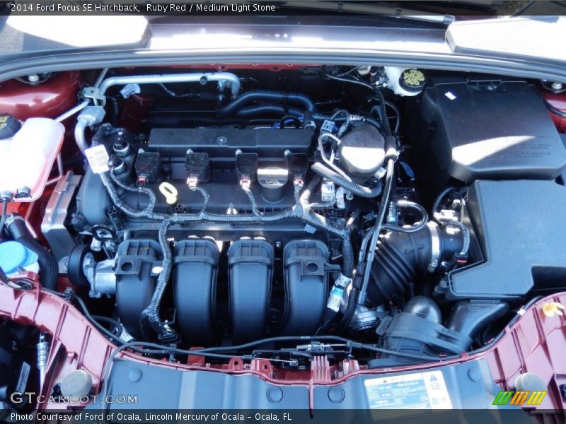 Ruby Red / Medium Light Stone 2014 Ford Focus SE Hatchback