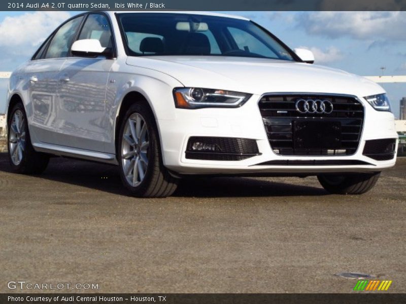 Ibis White / Black 2014 Audi A4 2.0T quattro Sedan