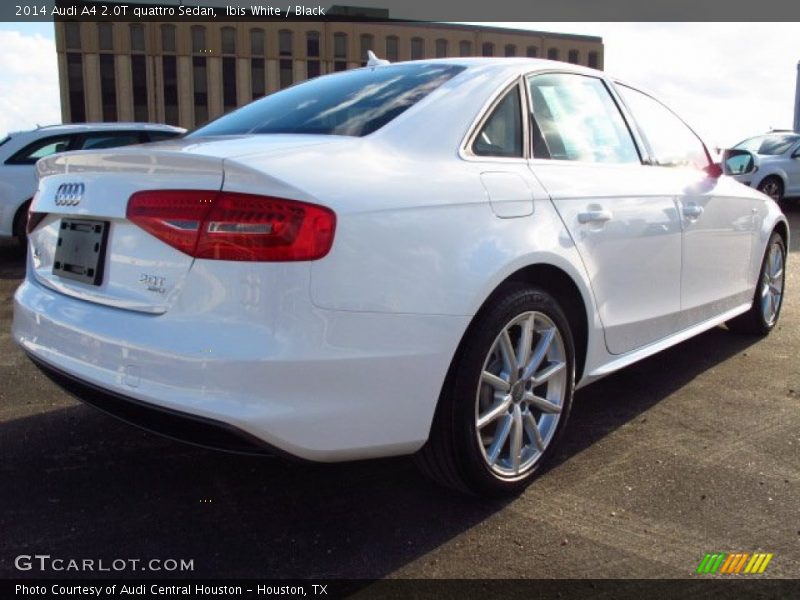 Ibis White / Black 2014 Audi A4 2.0T quattro Sedan