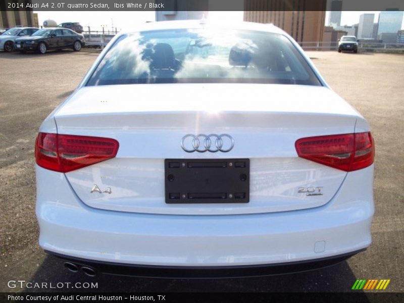 Ibis White / Black 2014 Audi A4 2.0T quattro Sedan