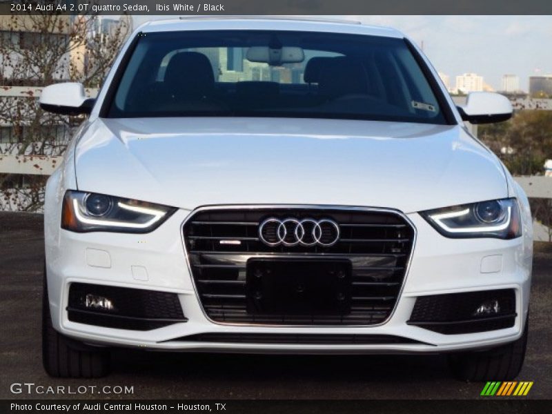 Ibis White / Black 2014 Audi A4 2.0T quattro Sedan