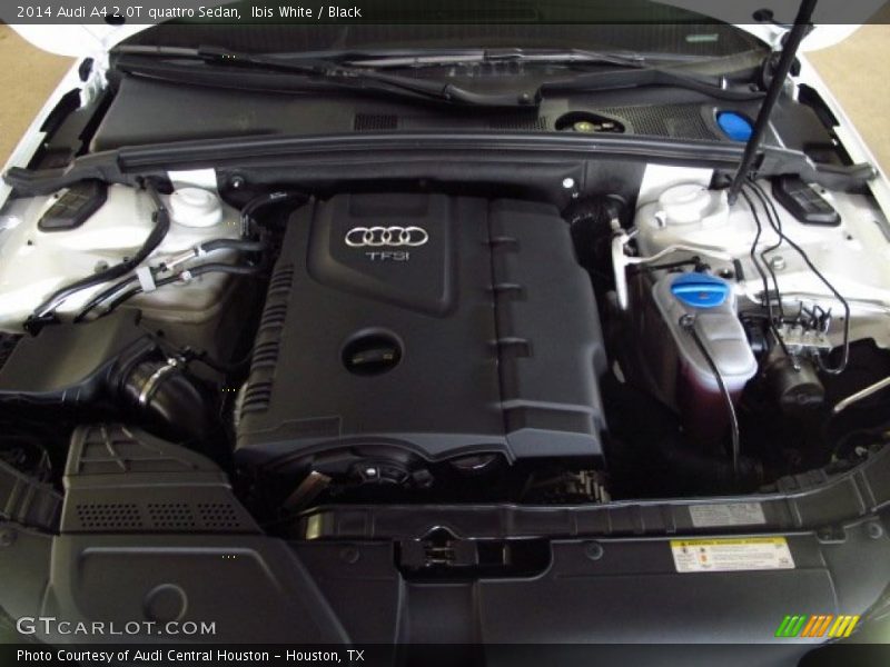 Ibis White / Black 2014 Audi A4 2.0T quattro Sedan
