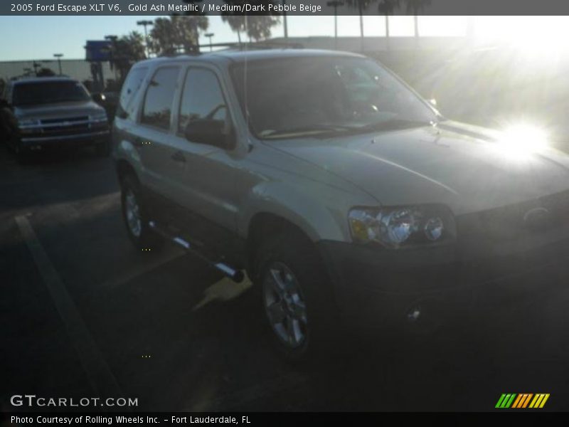 Gold Ash Metallic / Medium/Dark Pebble Beige 2005 Ford Escape XLT V6