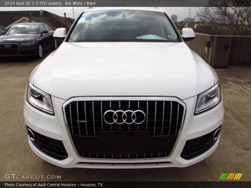 Ibis White / Black 2014 Audi Q5 2.0 TFSI quattro