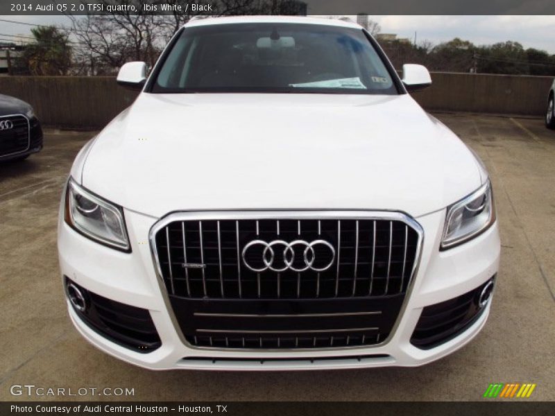 Ibis White / Black 2014 Audi Q5 2.0 TFSI quattro