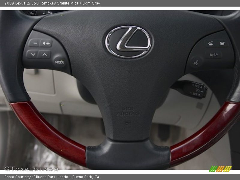 Smokey Granite Mica / Light Gray 2009 Lexus ES 350