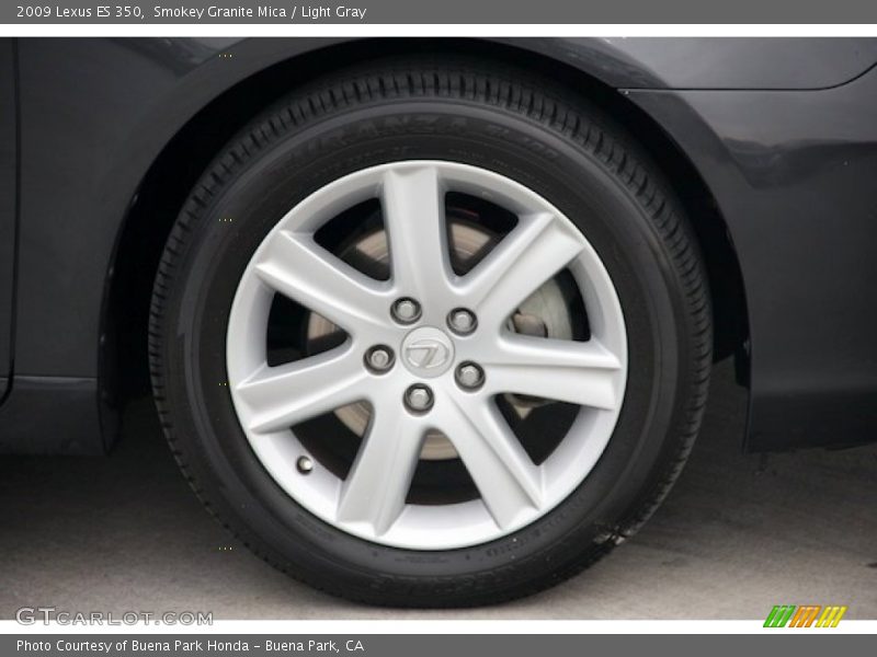 Smokey Granite Mica / Light Gray 2009 Lexus ES 350