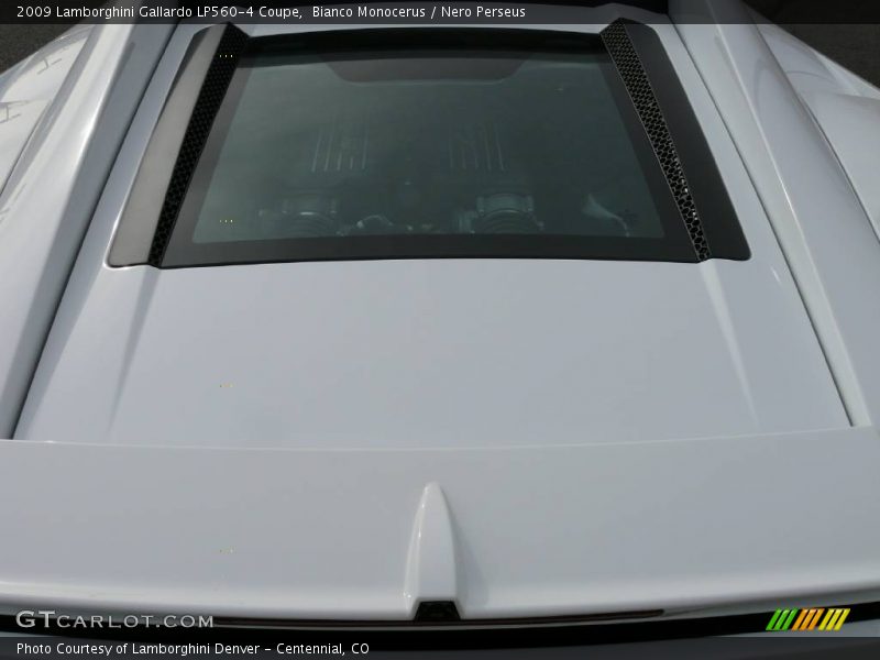 Bianco Monocerus / Nero Perseus 2009 Lamborghini Gallardo LP560-4 Coupe