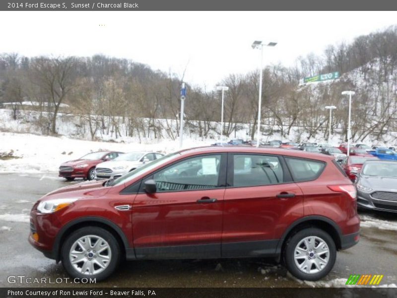 Sunset / Charcoal Black 2014 Ford Escape S