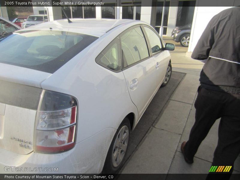 Super White / Gray/Burgundy 2005 Toyota Prius Hybrid